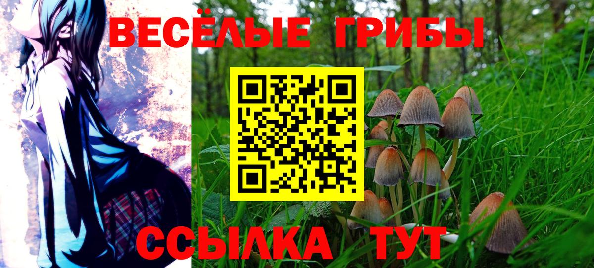 Галлюциногенные грибы прущие грибы Заринск