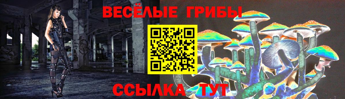 Галлюциногенные грибы Magic Shrooms  Вход с VPN  Заринск 